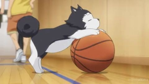 アニメ界の癒やしキャラ【動物】