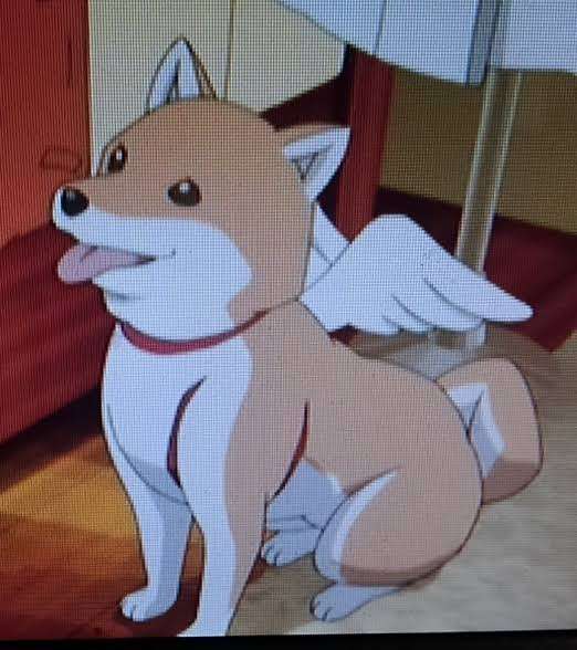アニメ界の癒やしキャラ【動物】