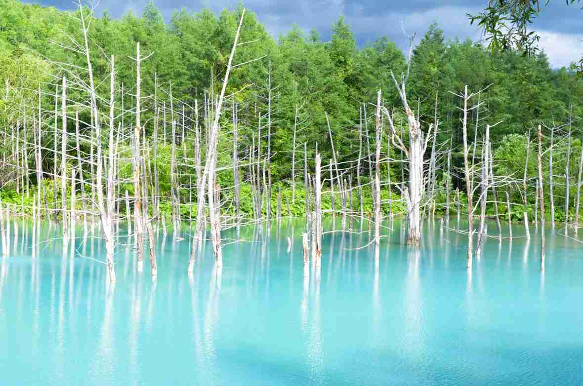 癒されたいから絶景画像