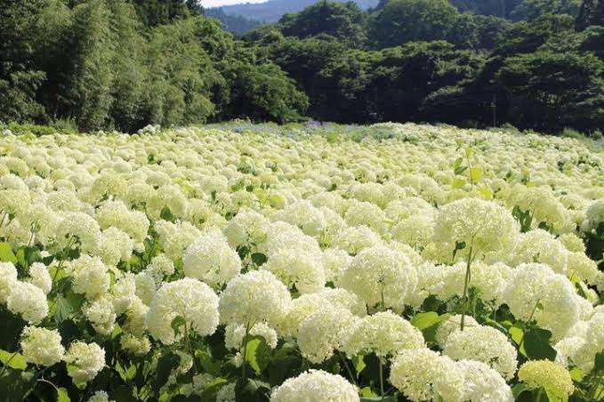 癒されたいから絶景画像