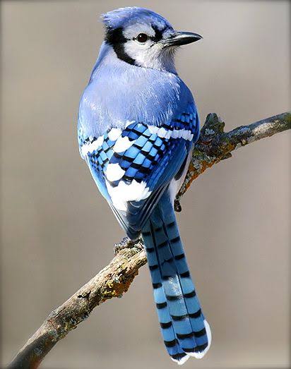 癒されたいから絶景画像