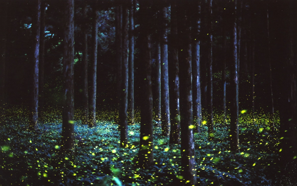 癒されたいから絶景画像