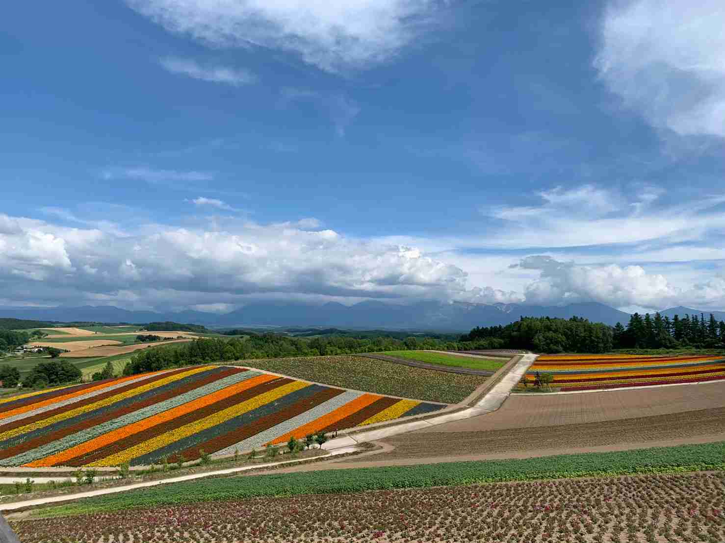 癒されたいから絶景画像