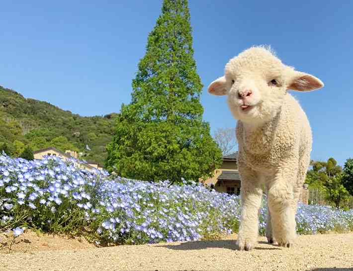 癒されたいから絶景画像