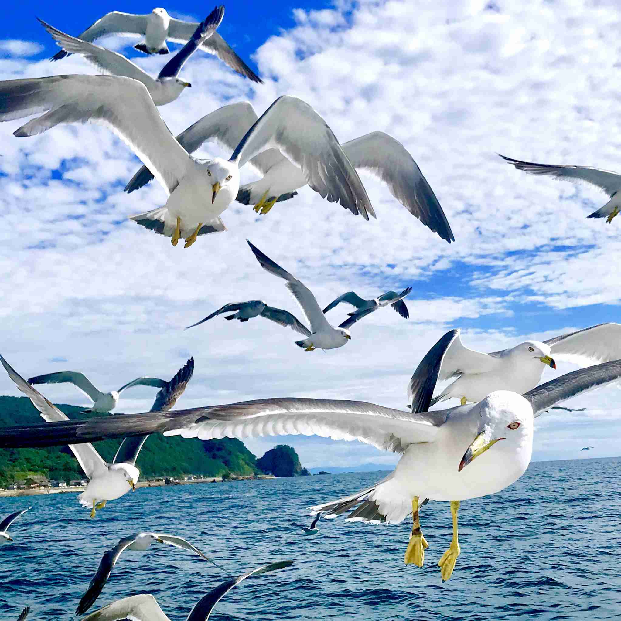 癒されたいから絶景画像