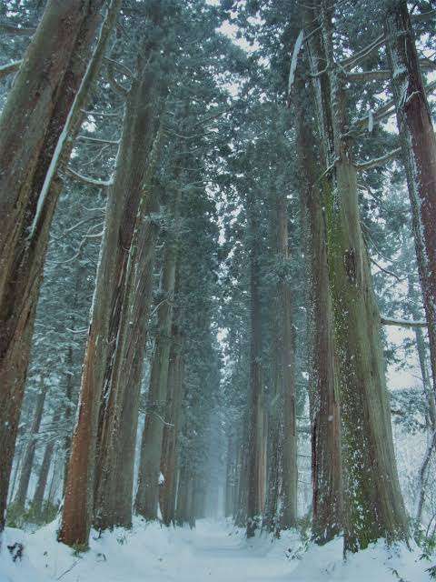 癒されたいから絶景画像