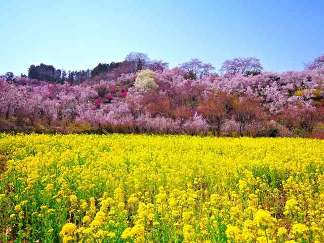 癒されたいから絶景画像