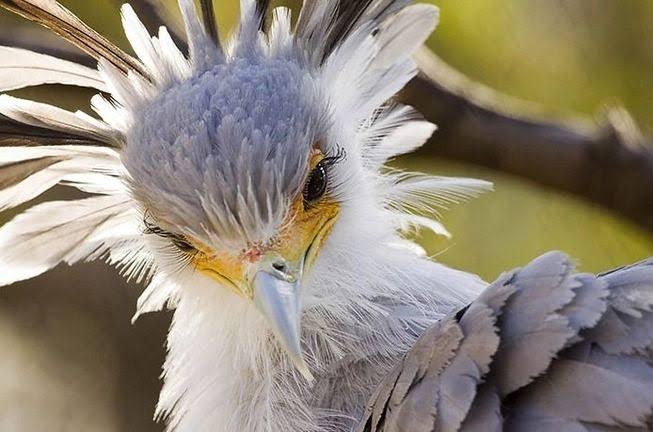 癒されたいから絶景画像