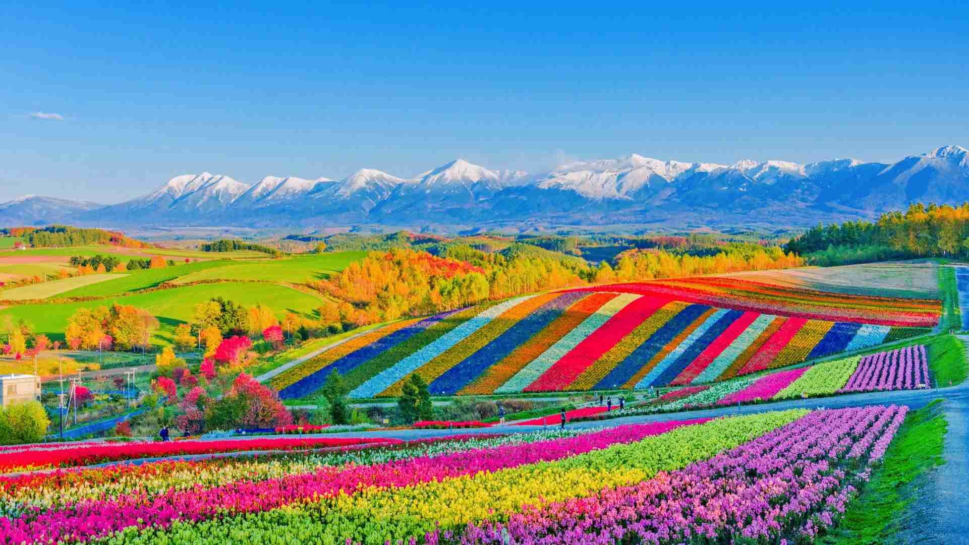 癒されたいから絶景画像