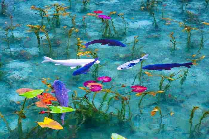 癒されたいから絶景画像