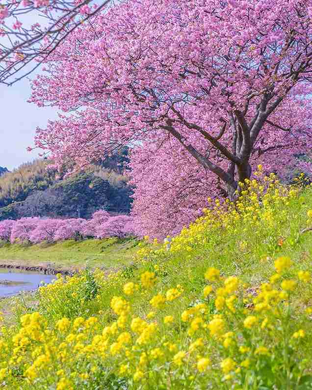 癒されたいから絶景画像