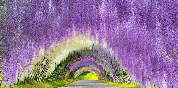 癒されたいから絶景画像