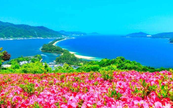 癒されたいから絶景画像