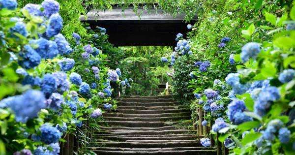 癒されたいから絶景画像