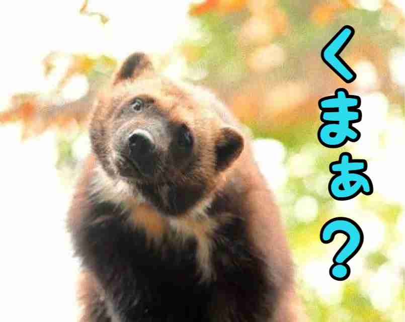 鈴木紗理奈　木下優樹菜さんから離婚相談受けていた「子供を育てていける覚悟があるのなら」真摯に助言