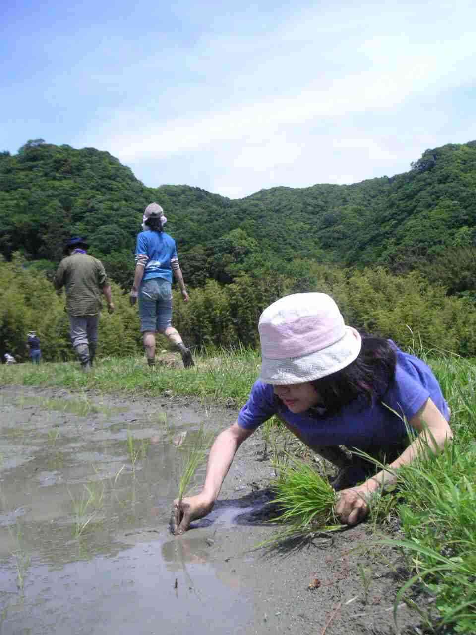 自滅していった人