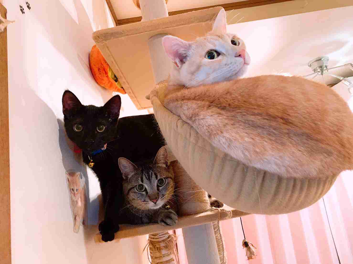 うつ病は治りますか？