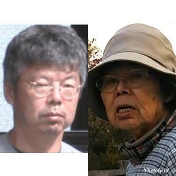 サンシャイン池崎、保護猫の預かり活動を続ける理由 嵐・相葉雅紀も称賛「本当にすごい」