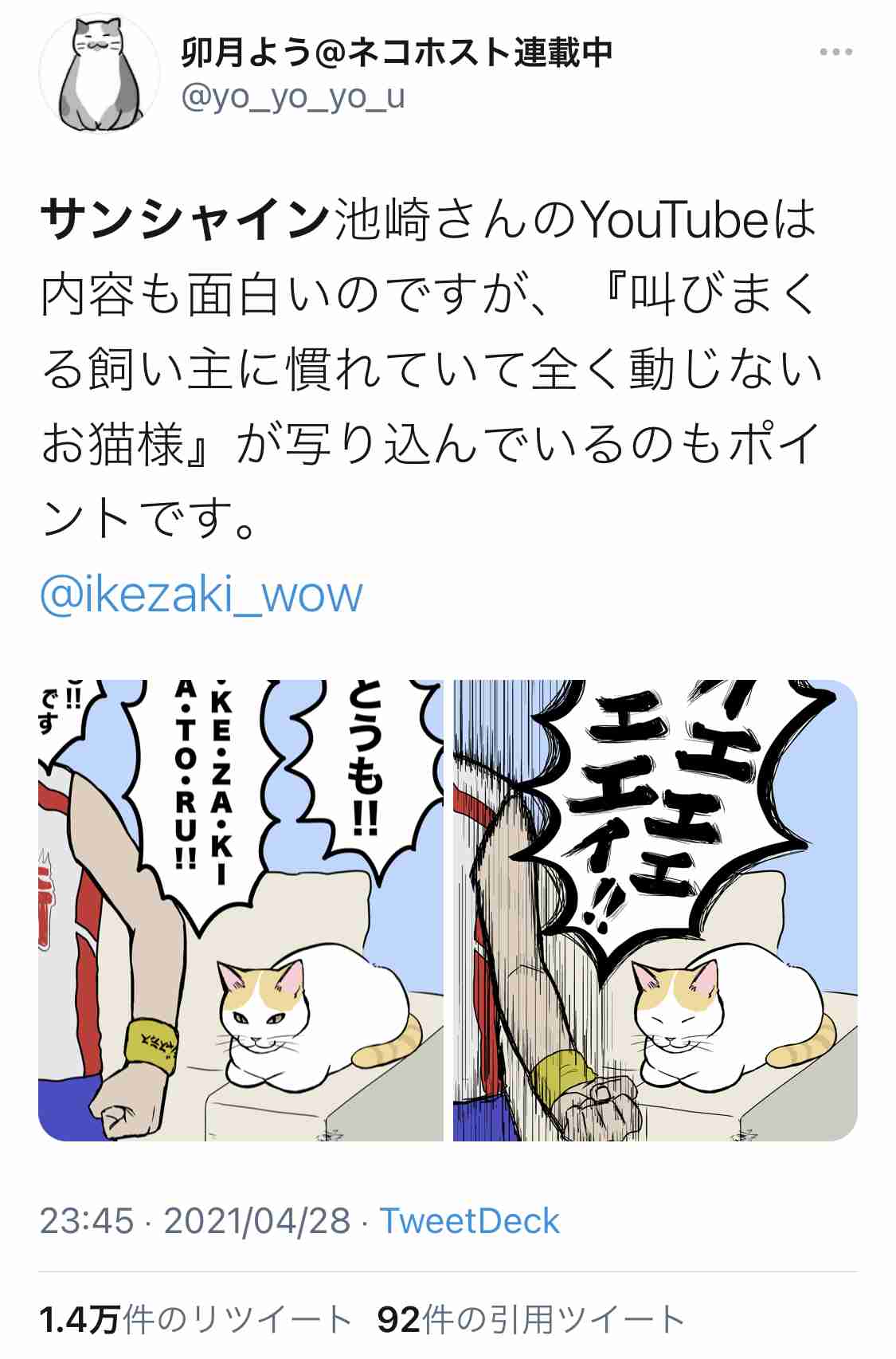 サンシャイン池崎、保護猫の預かり活動を続ける理由 嵐・相葉雅紀も称賛「本当にすごい」