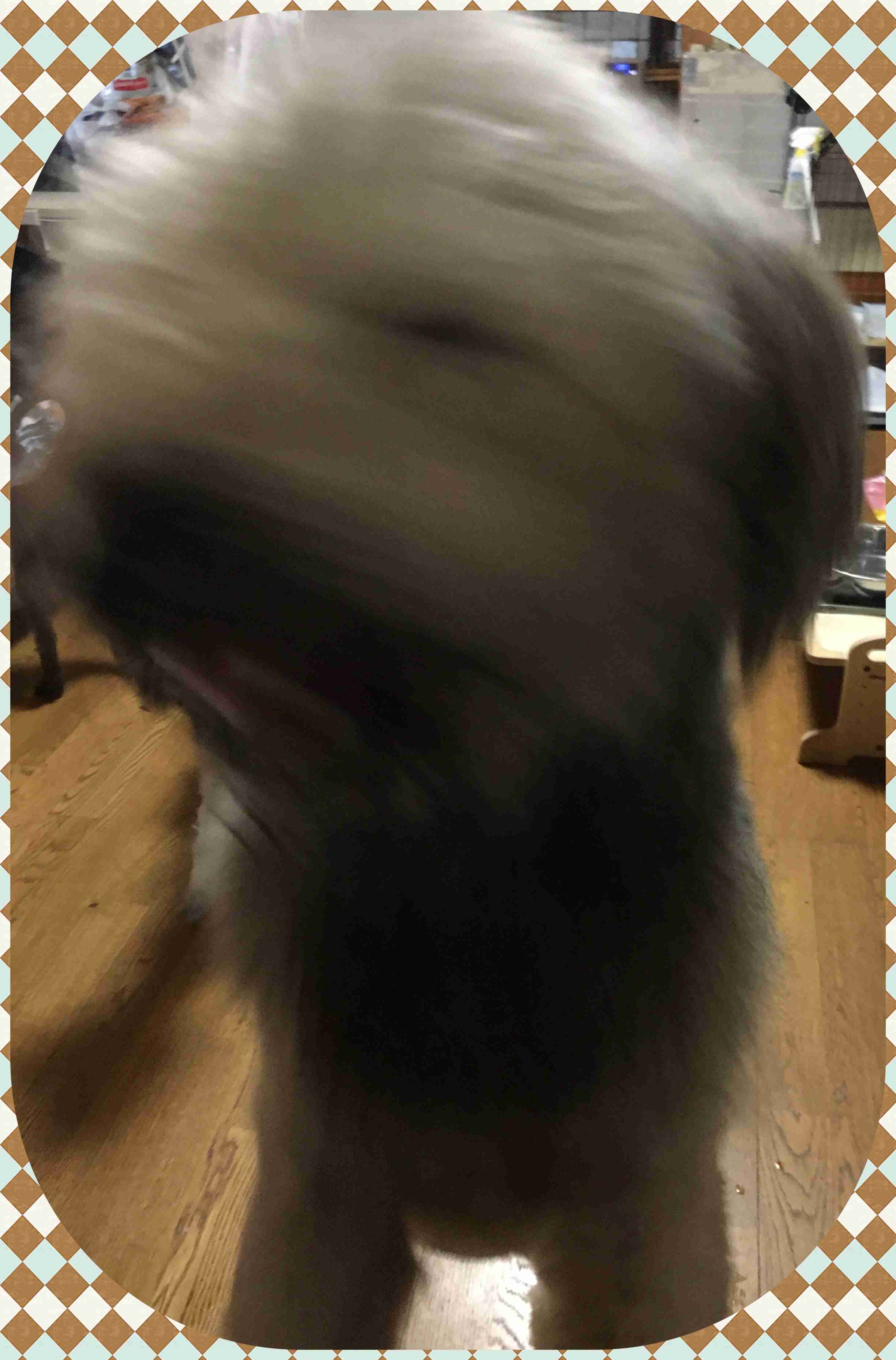 失敗写真選手権ペット編　