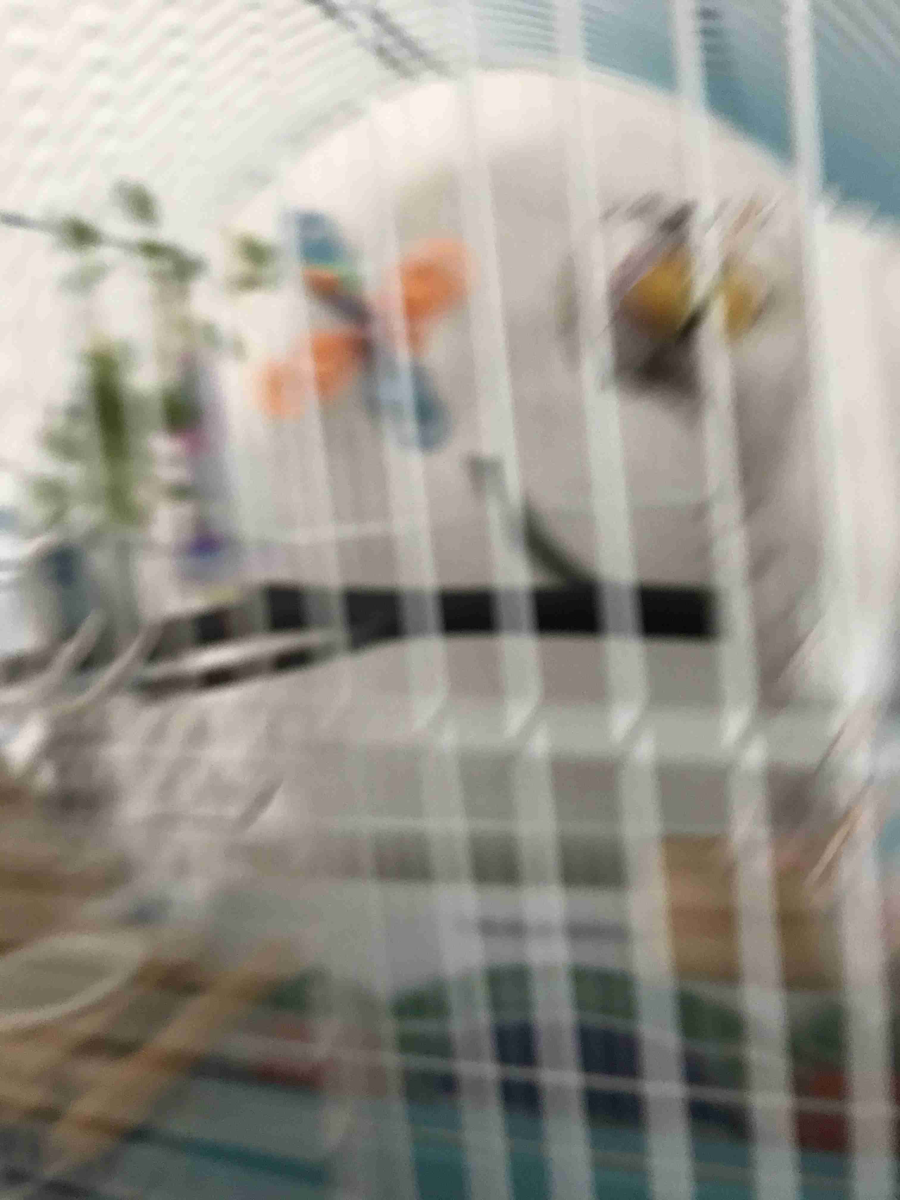 失敗写真選手権ペット編　