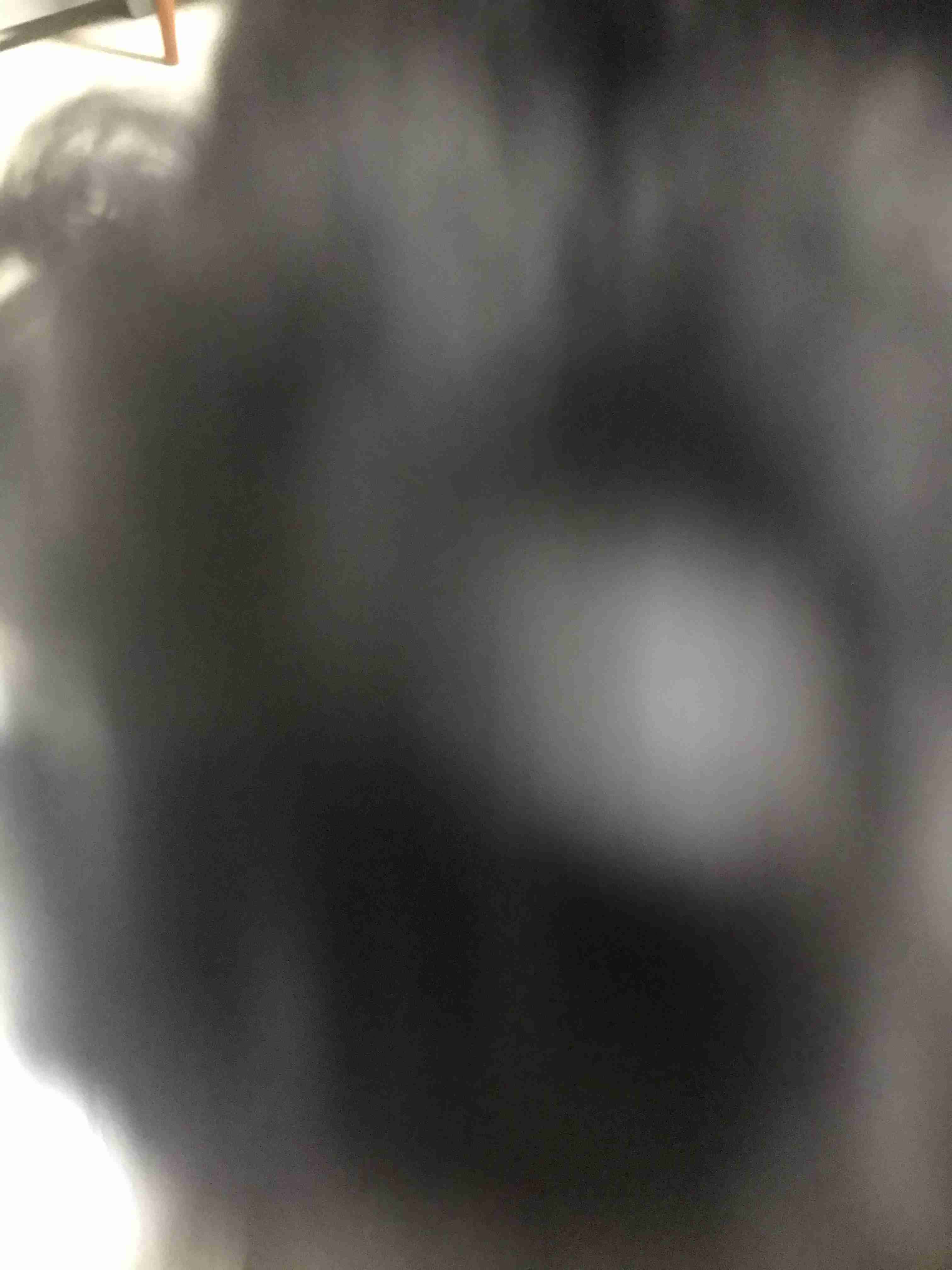 失敗写真選手権ペット編　