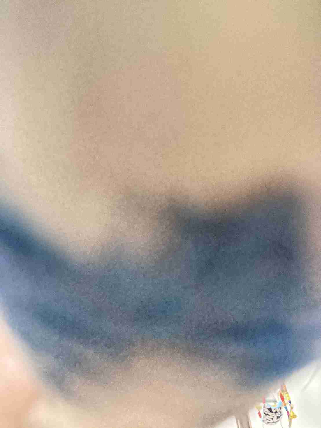失敗写真選手権ペット編　
