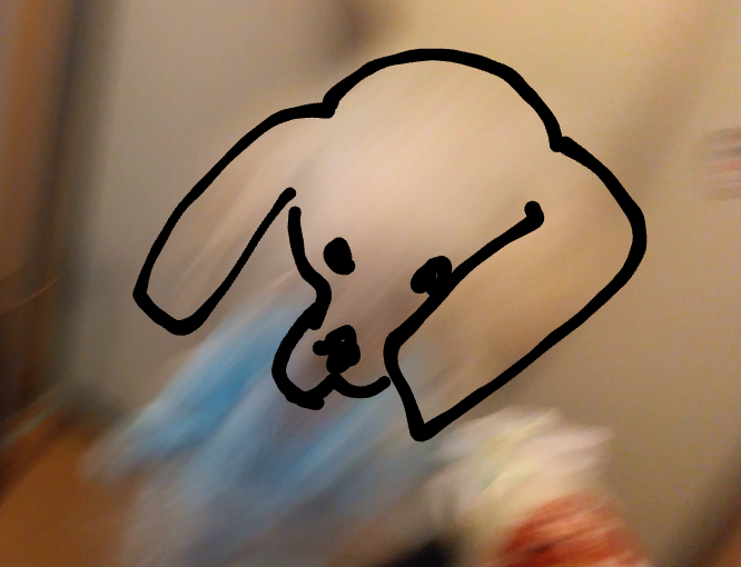 失敗写真選手権ペット編　