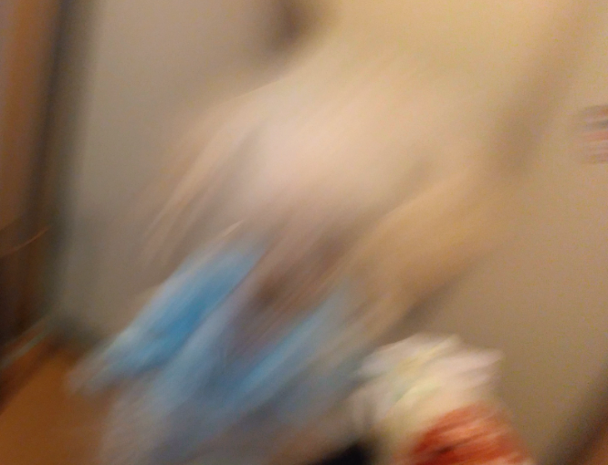 失敗写真選手権ペット編　