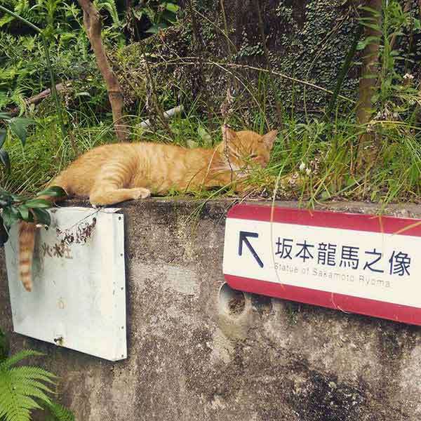 尊敬できる人、身近にいますか?