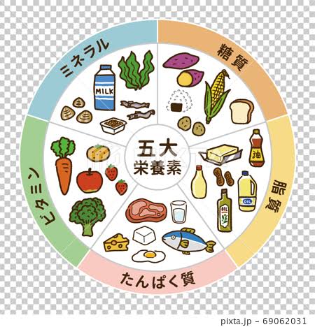 一回の食事の内容