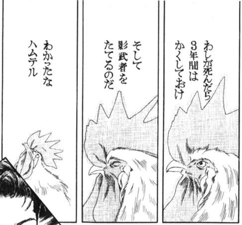 にわとり🐓を飼ってみたい