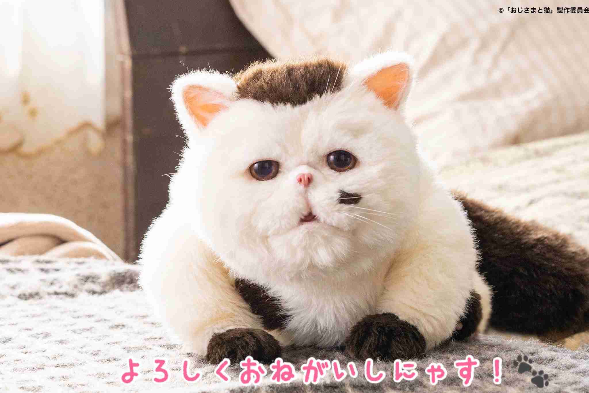 願いごと手帖