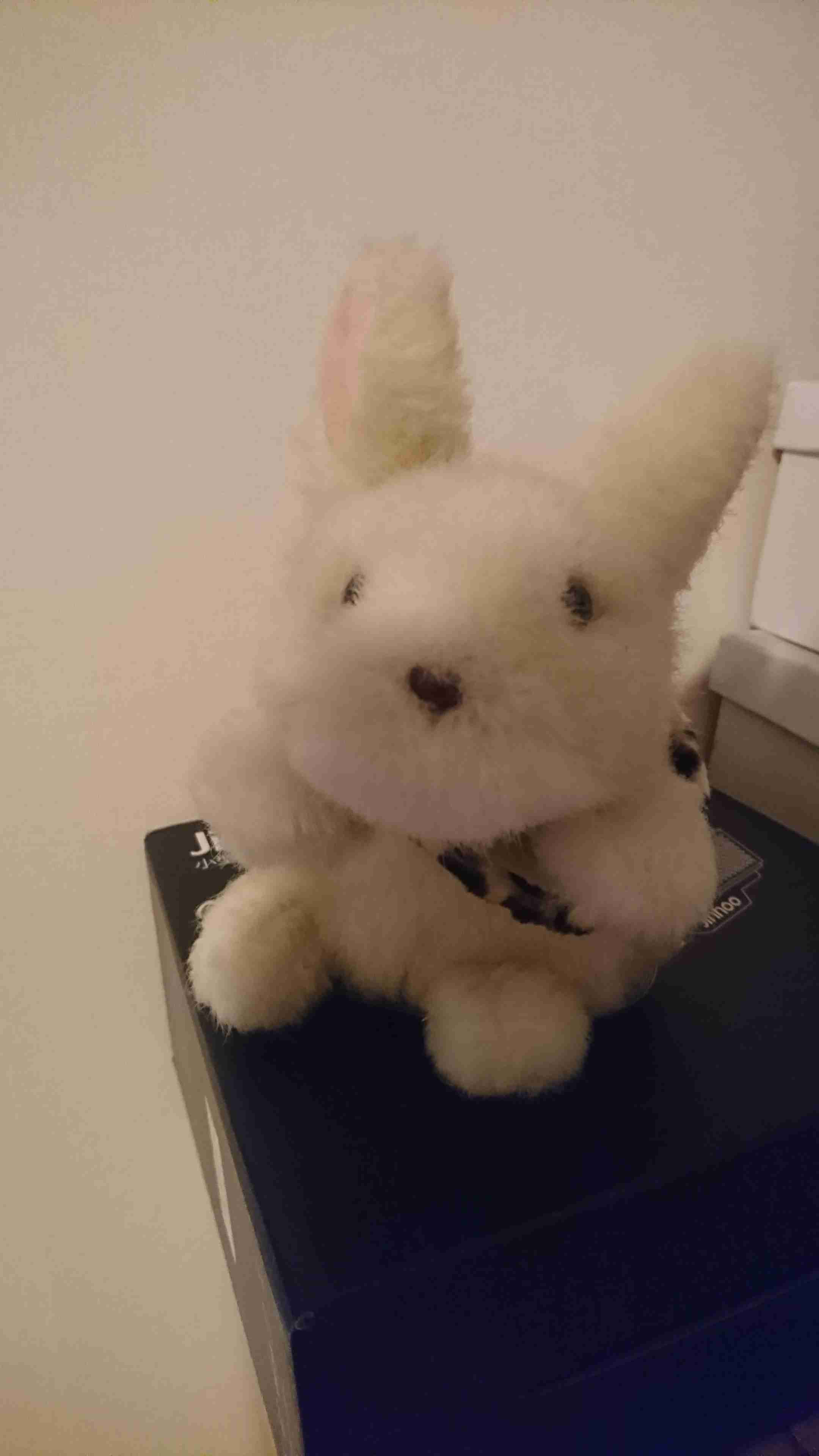 昭和レトロなぬいぐるみ画像