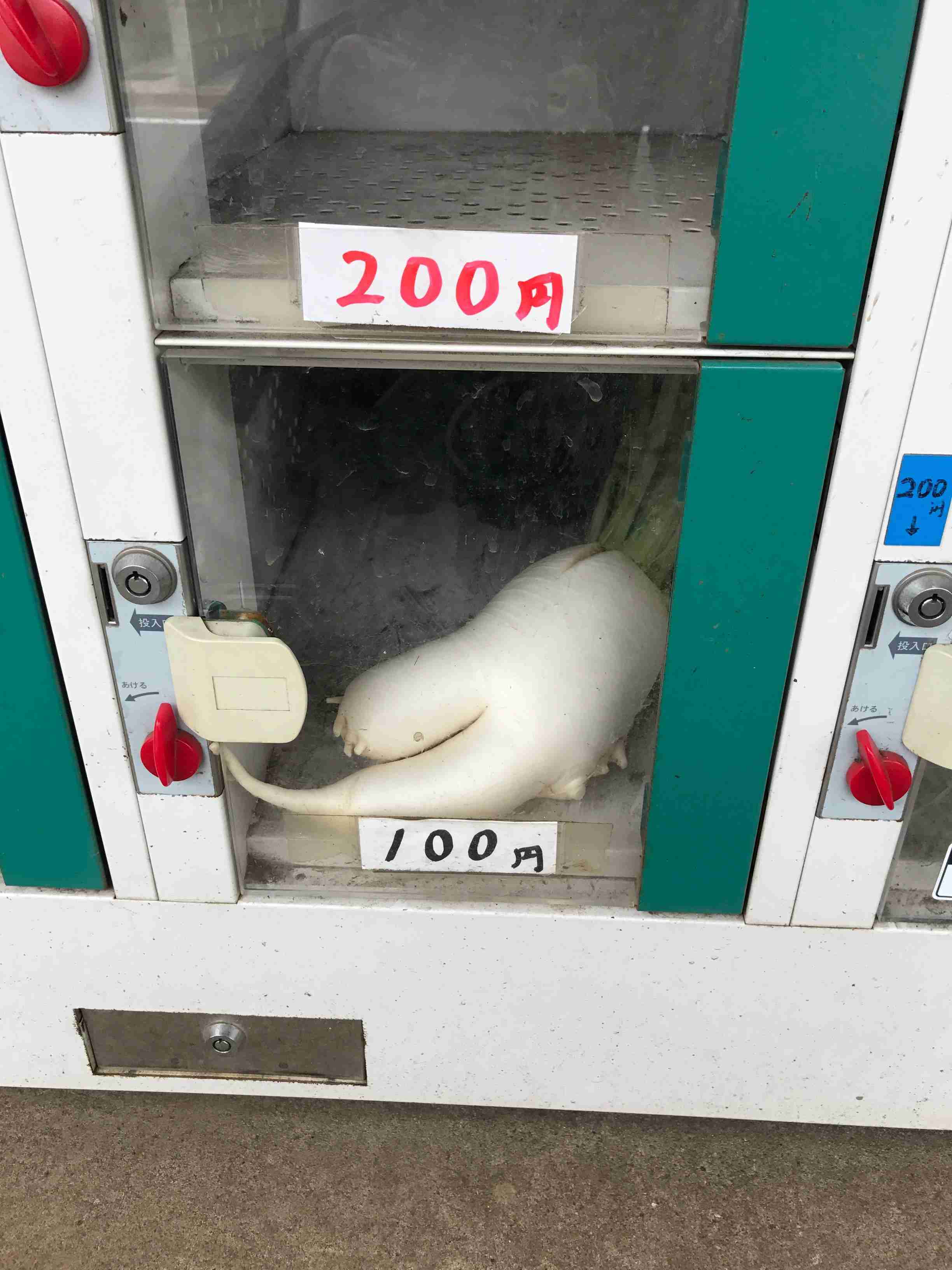 無人販売