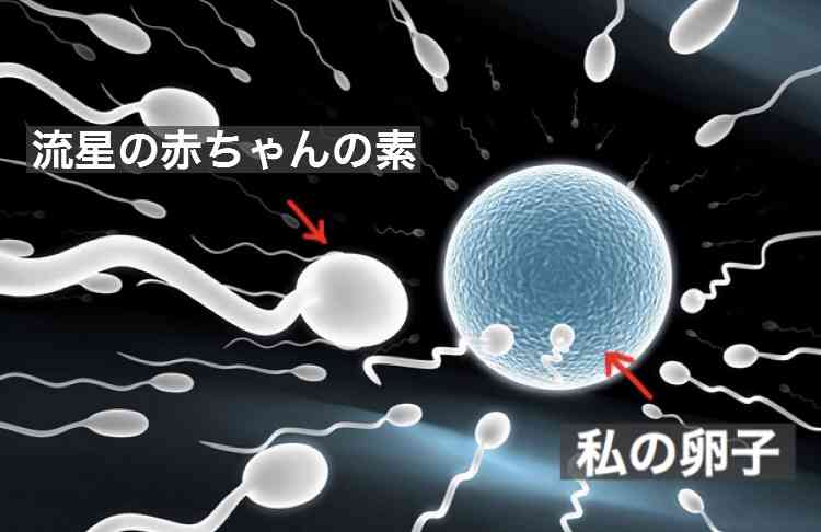 国内初 精子バンク立ち上げへ 獨協医科大の医師ら