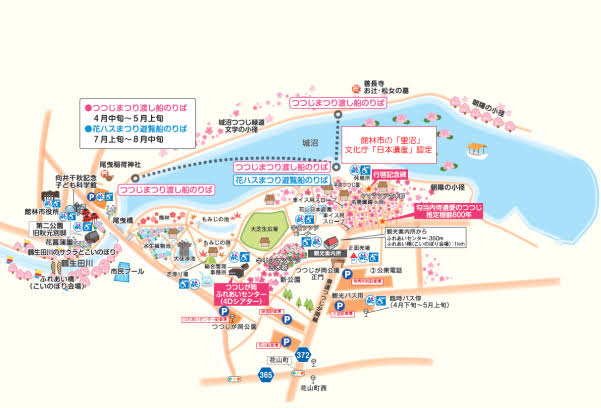 意外と知らない? 東京の街で「ツツジ」をしょっちゅう見かける理由