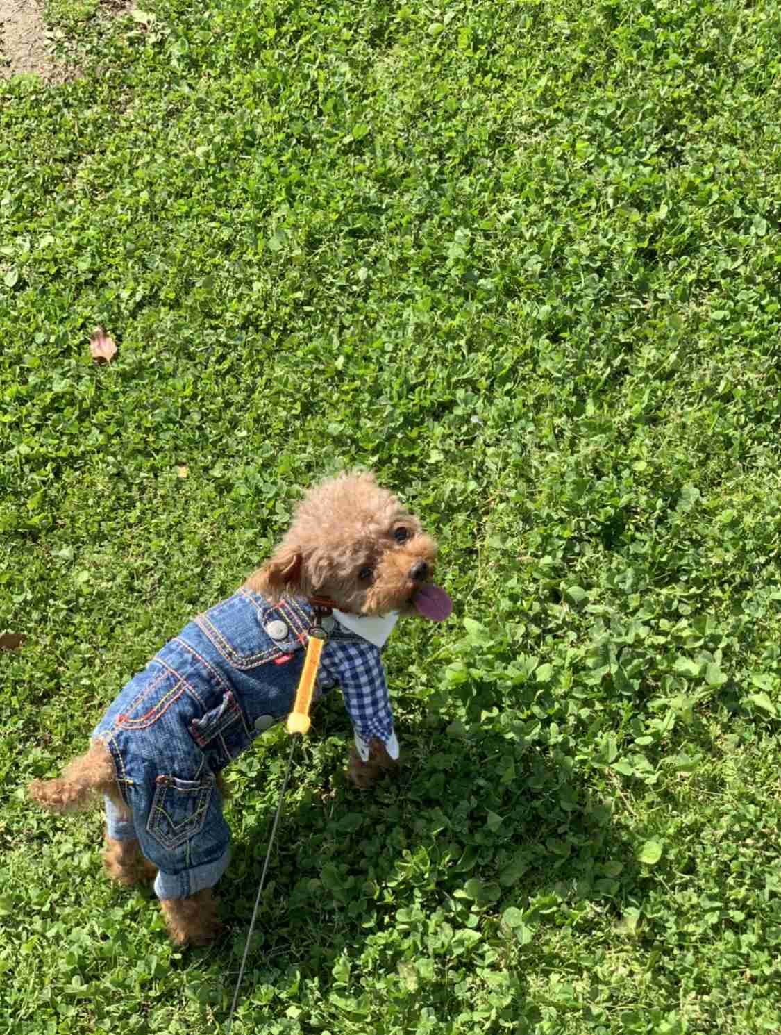 あなたが撮ったベストショット