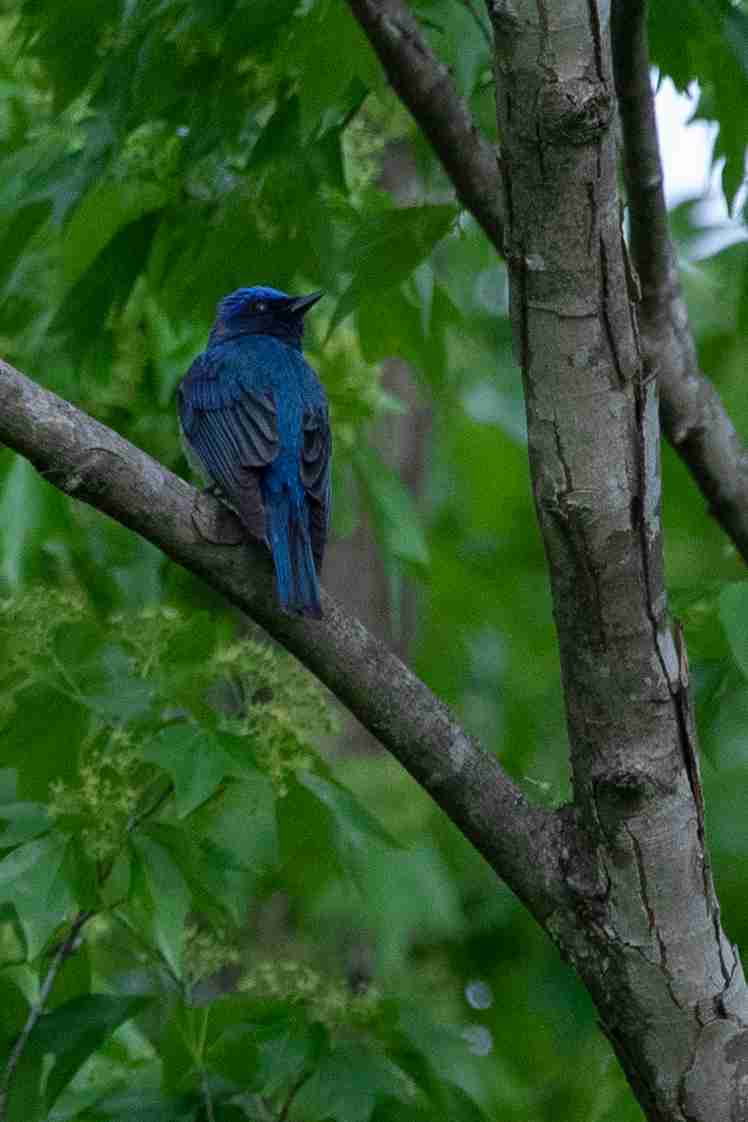 あなたが撮ったベストショット
