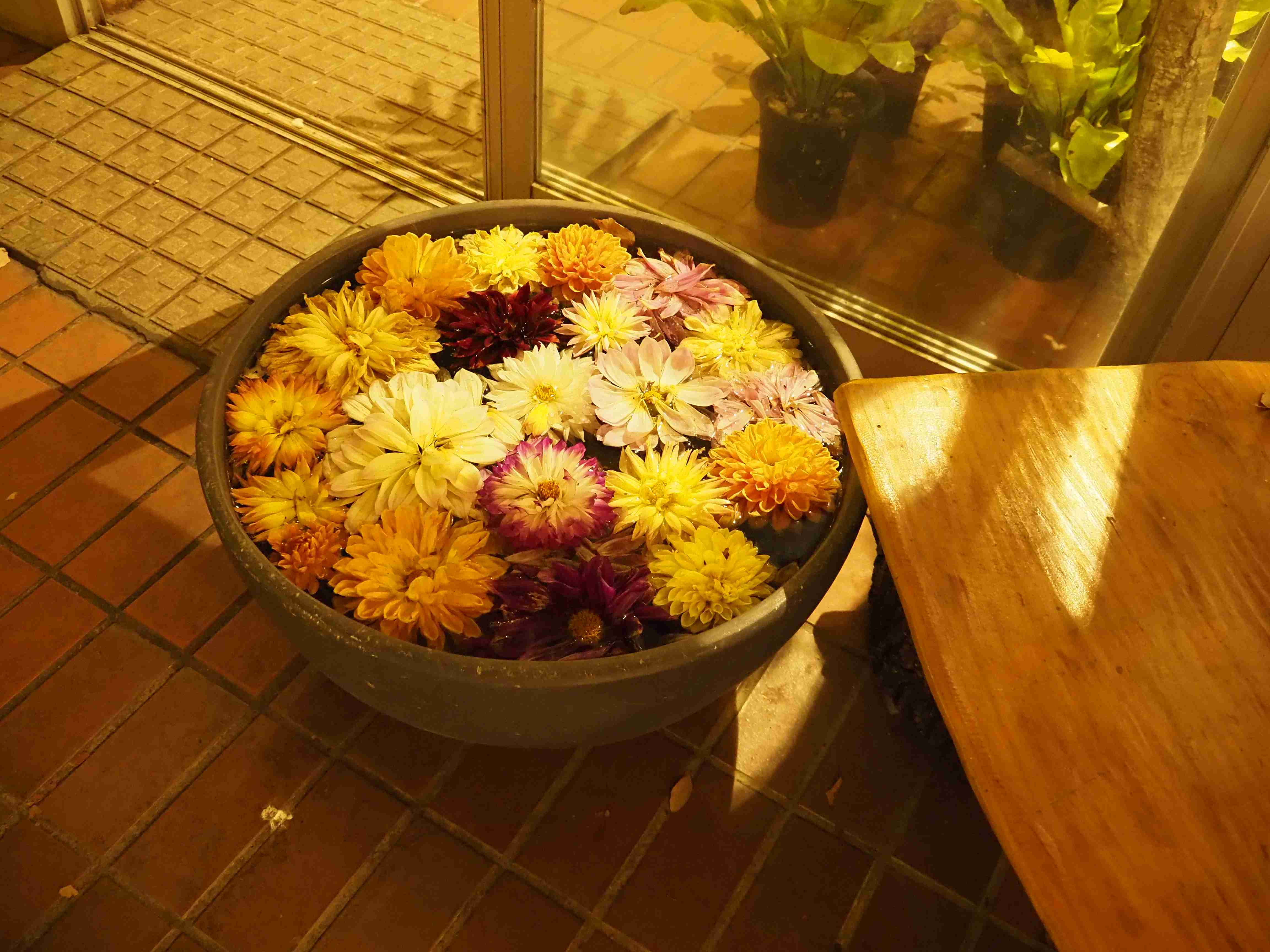 あなたが撮ったベストショット