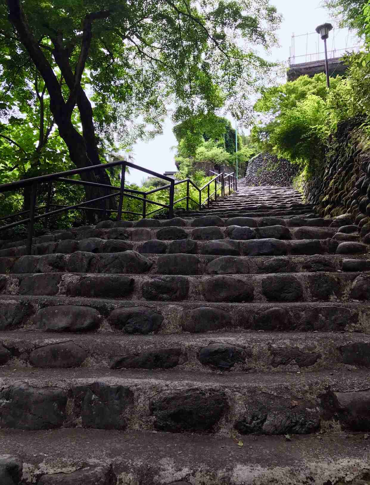 あなたが撮ったベストショット