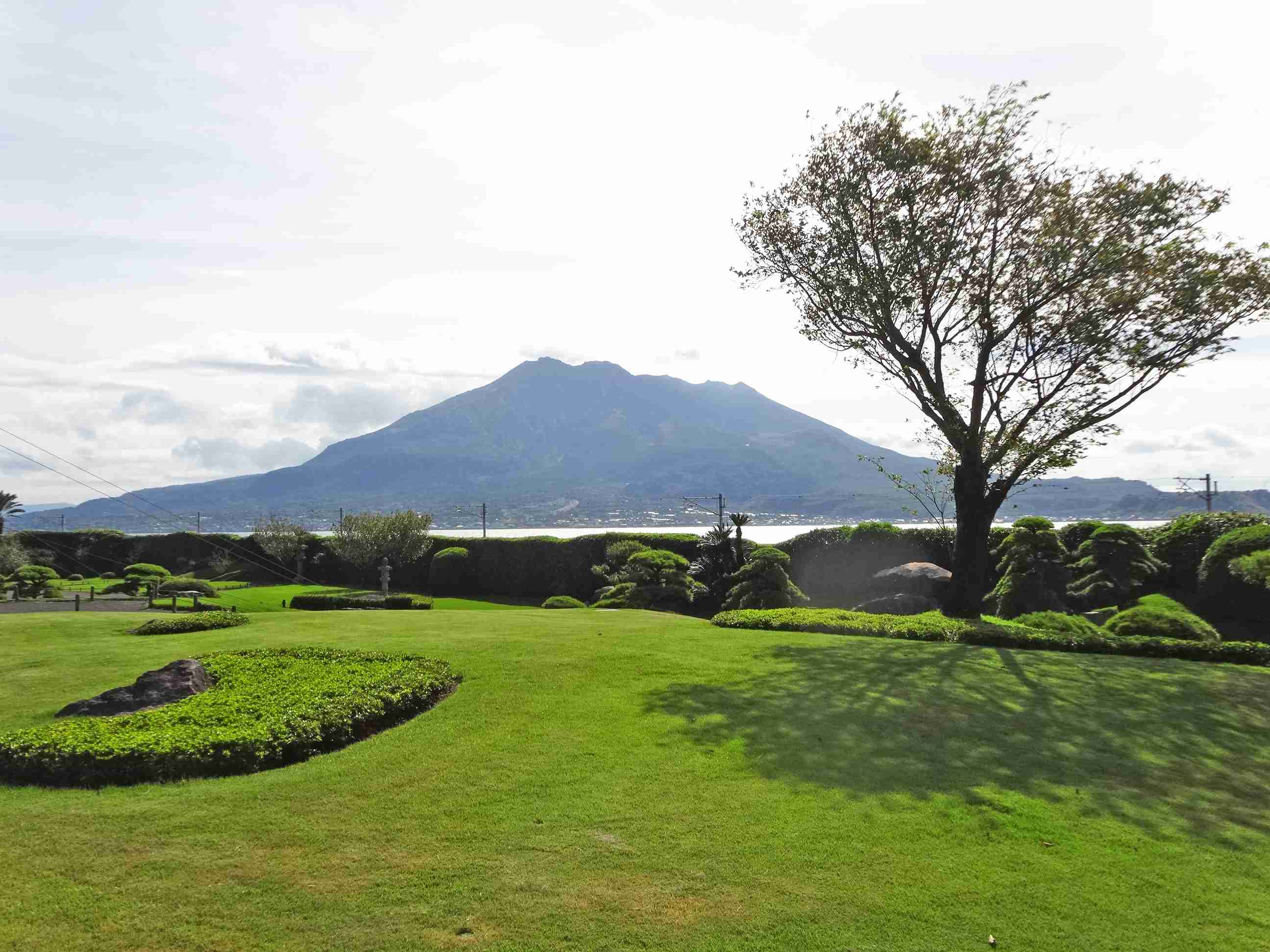 あなたが撮ったベストショット