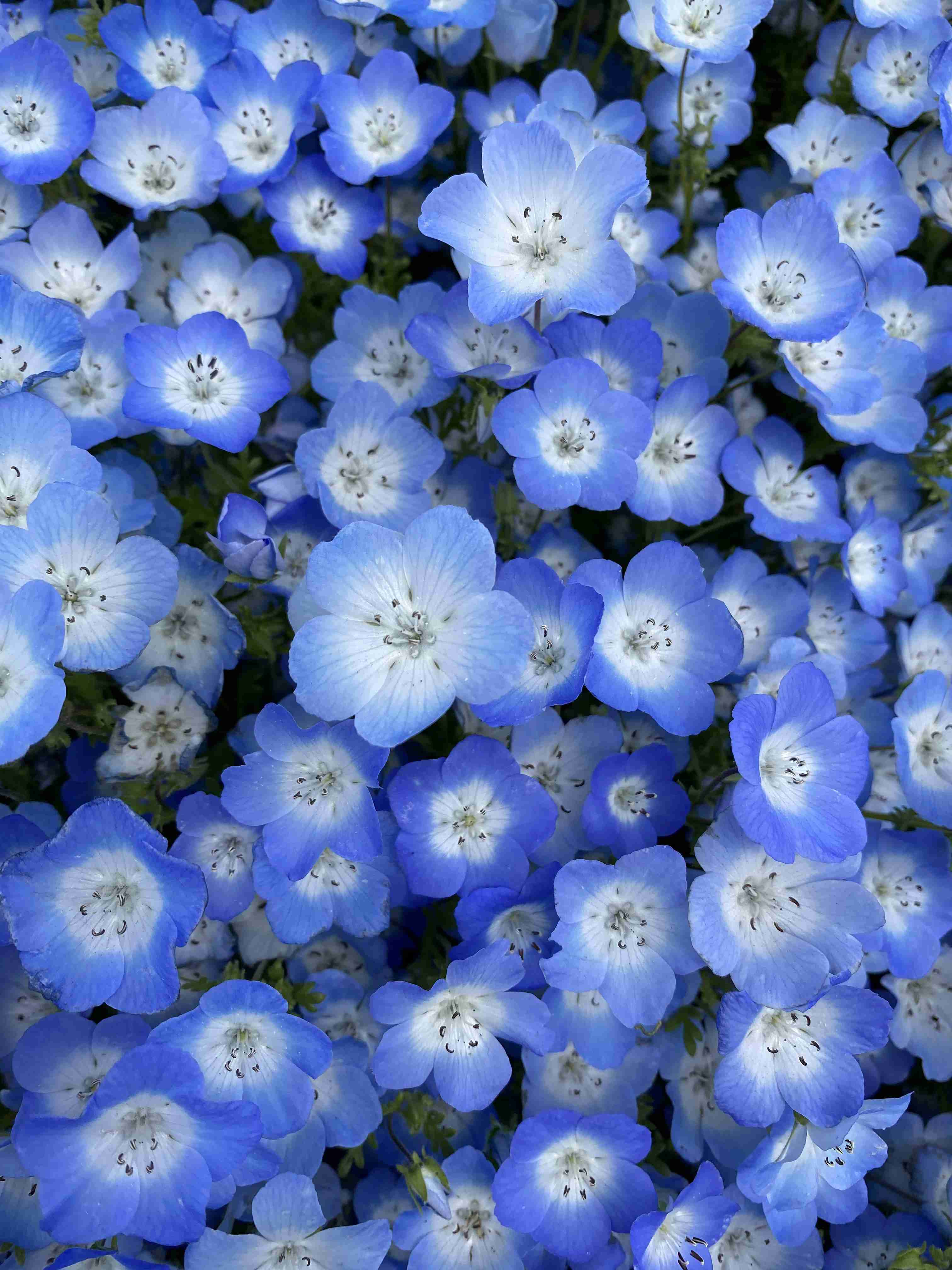 あなたが撮ったベストショット