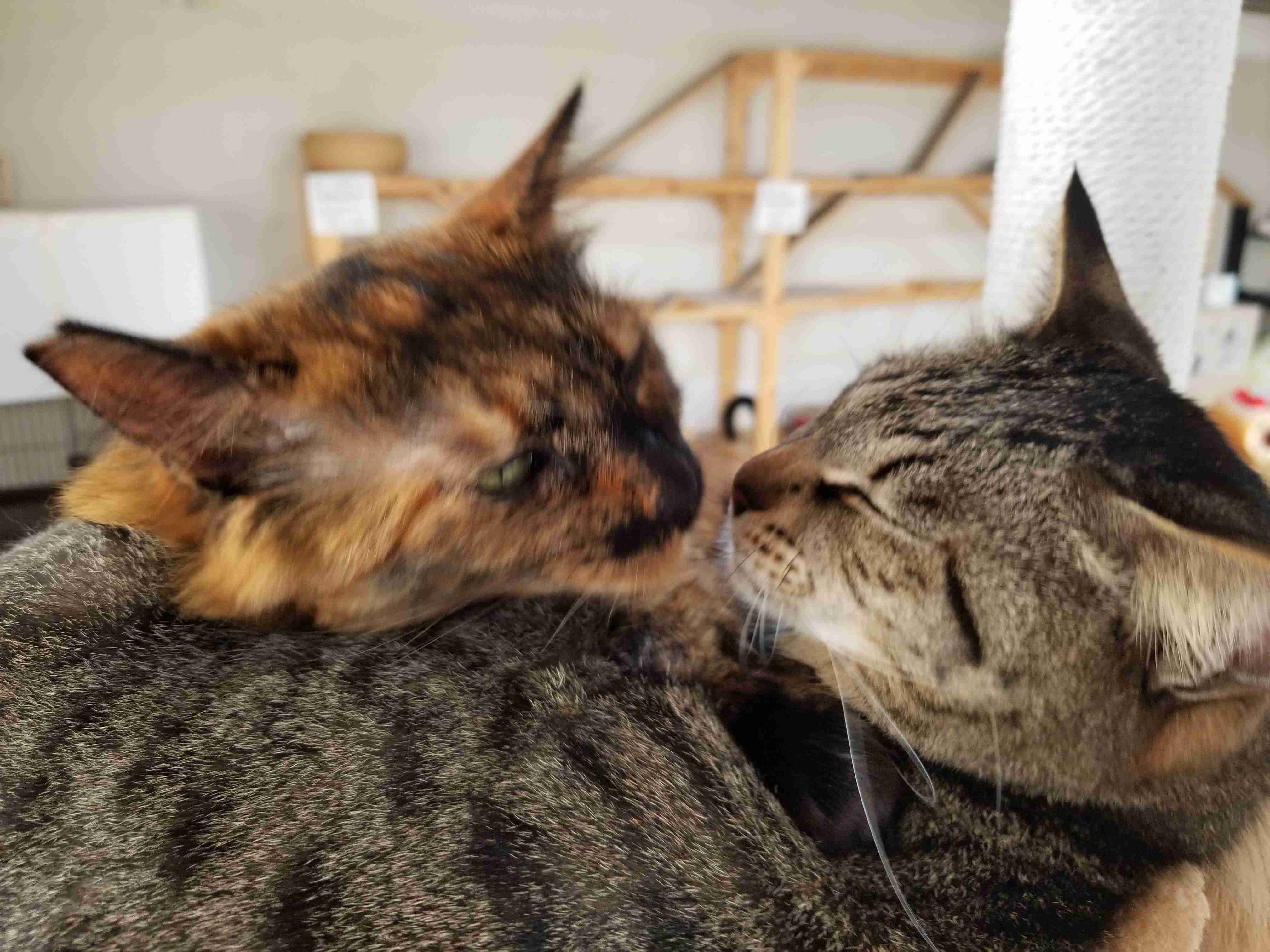 あなたが撮ったベストショット