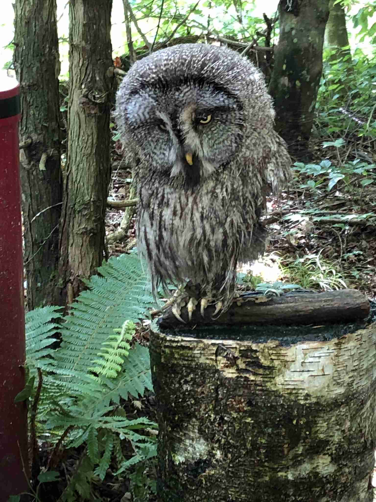 あなたが撮ったベストショット