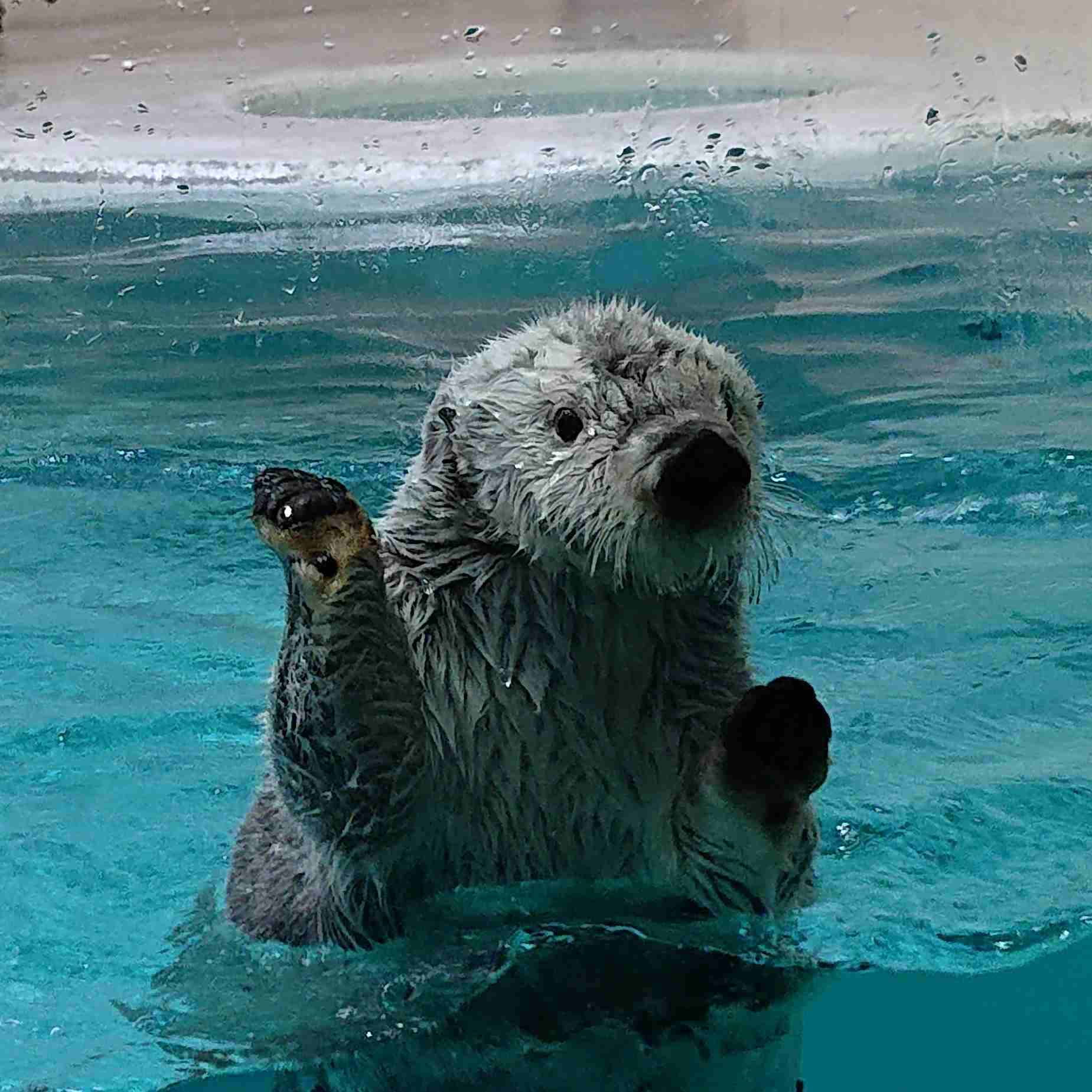 あなたが撮ったベストショット