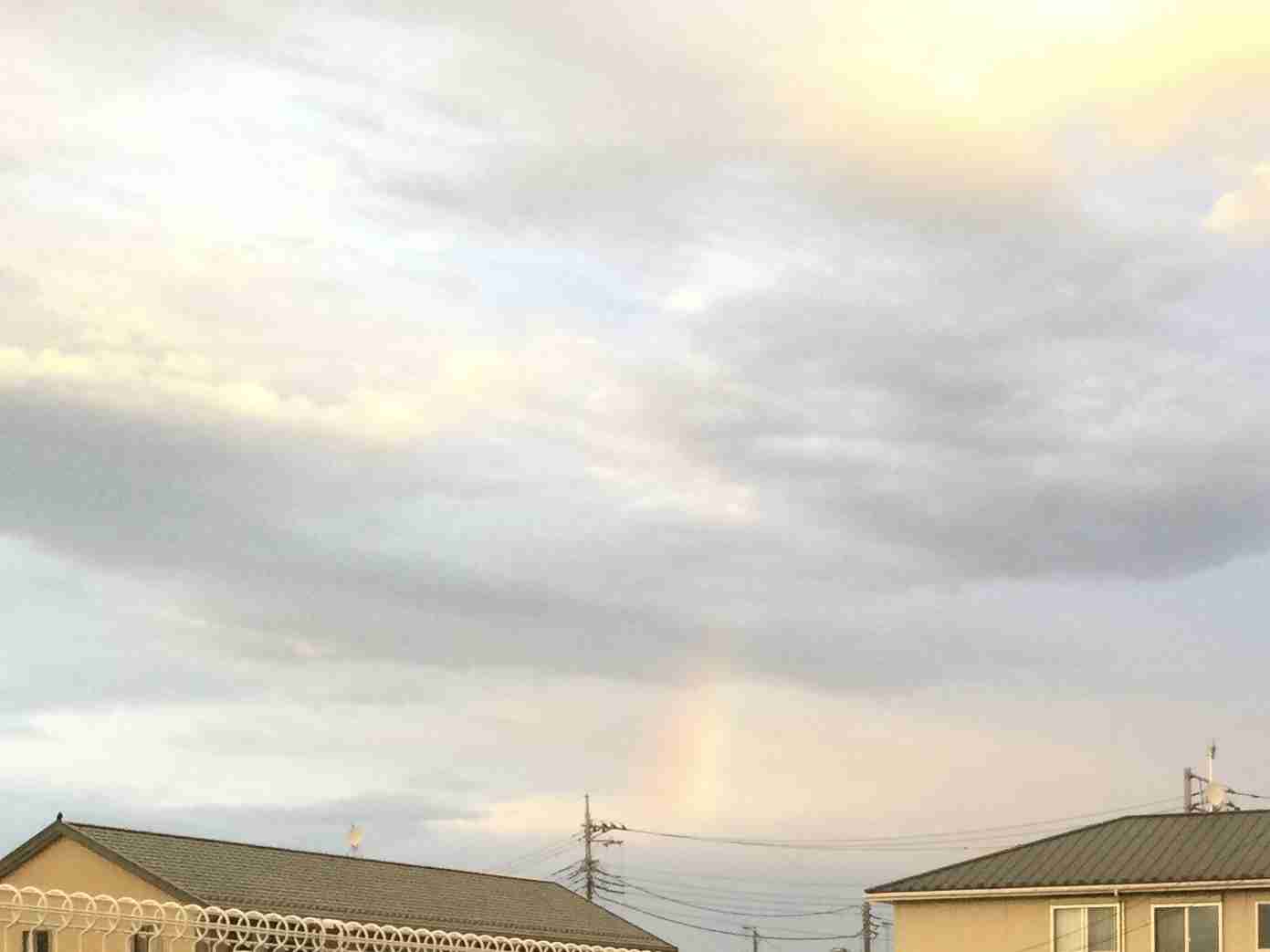 あなたが撮ったベストショット