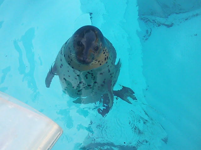 あなたが撮ったベストショット