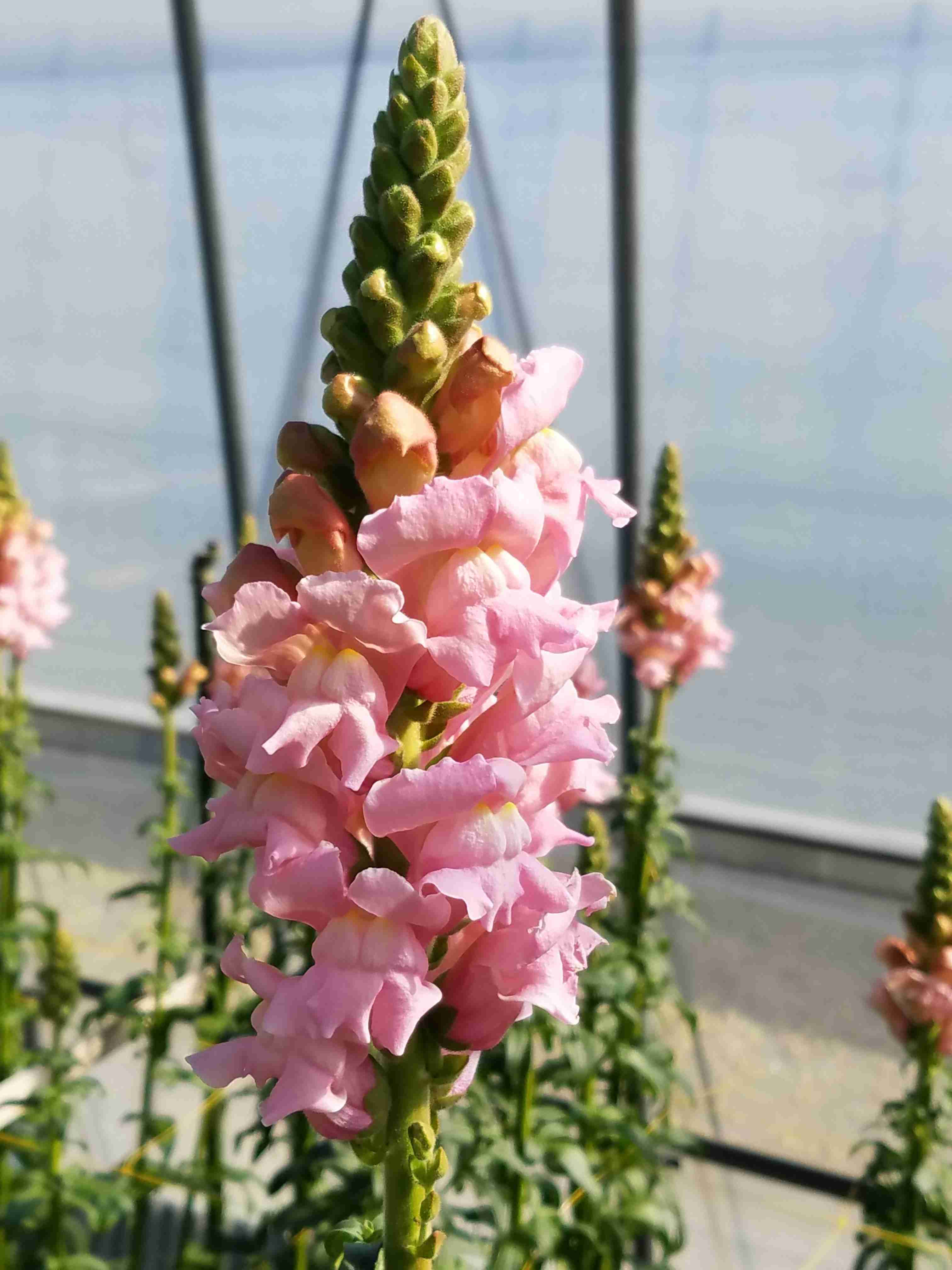 あなたが撮ったベストショット