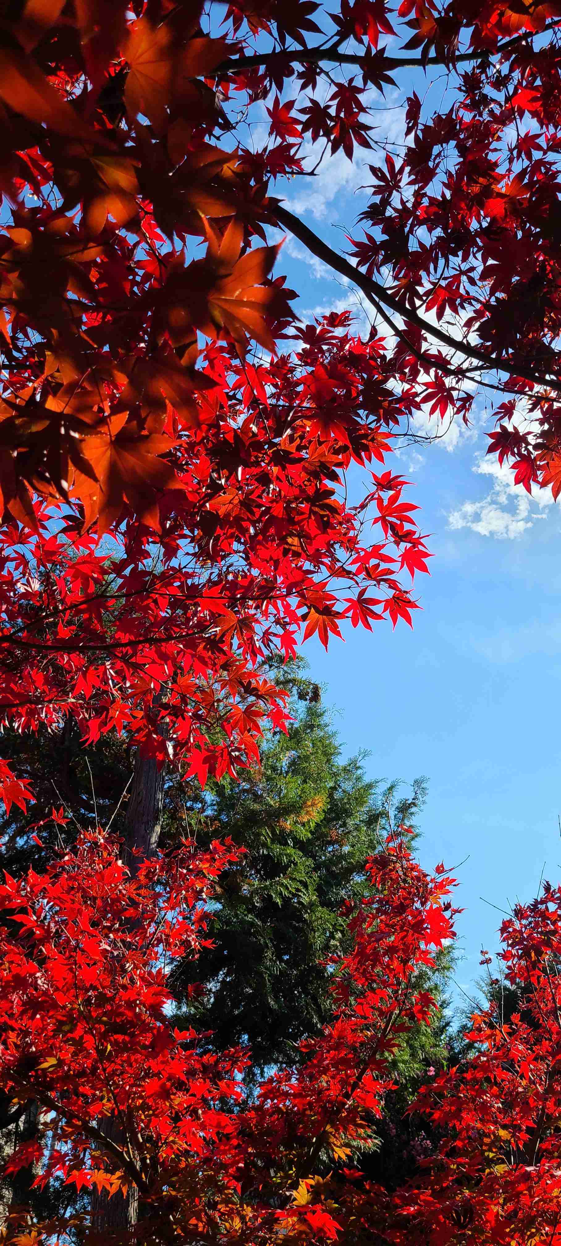 あなたが撮ったベストショット
